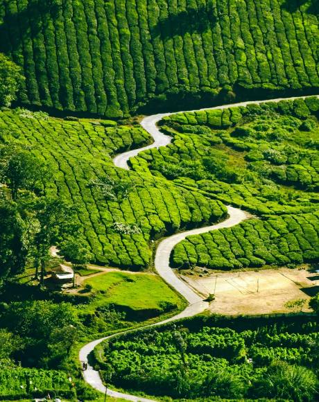Kerala - Munnar Calling